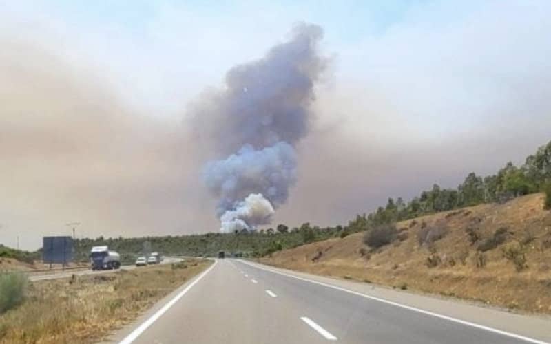 Morocco Highway Reopens After Wildfire Disruption in Larache Region