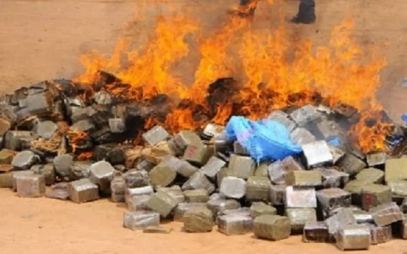 Morocco Incinerates 8 Tons of Seized Drugs in Tangier Anti-Trafficking Operation