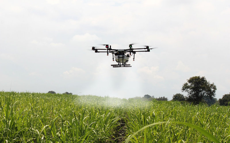 Morocco Invests in Drones to Monitor Legal Cannabis Cultivation