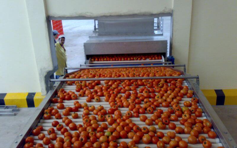 Morocco Invests $11 Million in New Fruit and Vegetable Packaging Facility in Dakhla