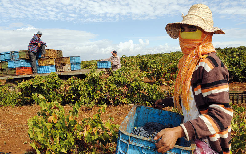 Morocco and Israel Sign Agricultural and Water Cooperation Agreement