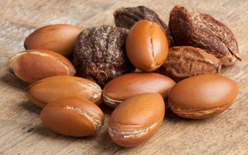 Morocco Launches 100-Hectare Argan Tree Planting Project in Souss-Massa Region