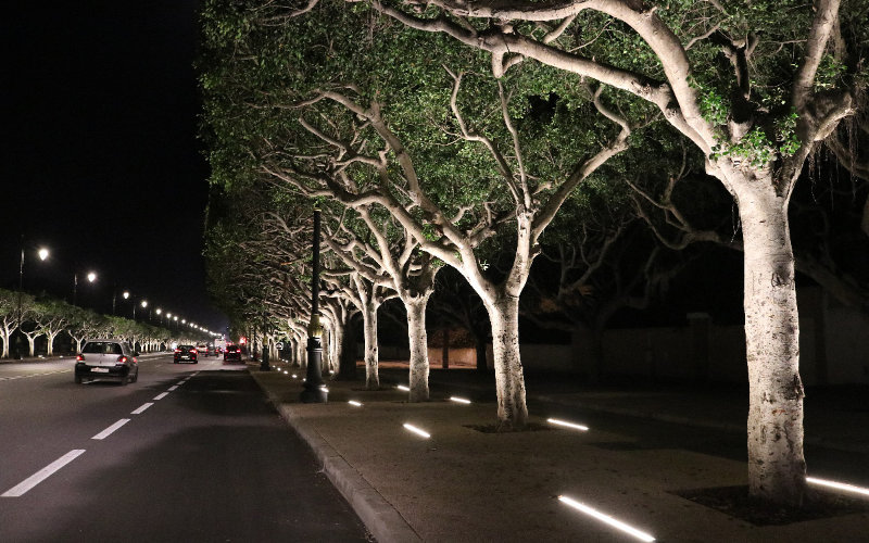 Morocco Launches Anti-Dumping Probe into Chinese LED Lighting Imports