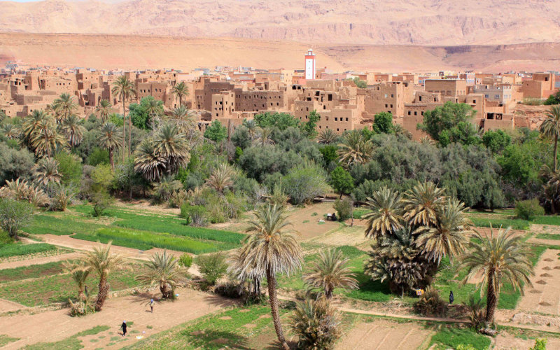 Morocco Named Among Top 7 African Travel Destinations for 2024
