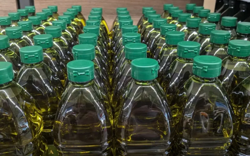 Morocco Olive Oil Imports Collapse 90% in 2026