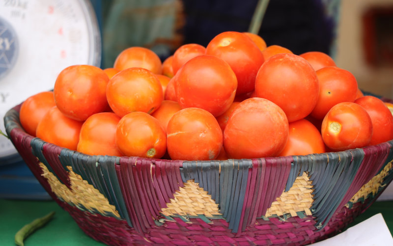 Morocco Overtakes Spain as Top Tomato Exporter to EU, Shifting European Produce Market