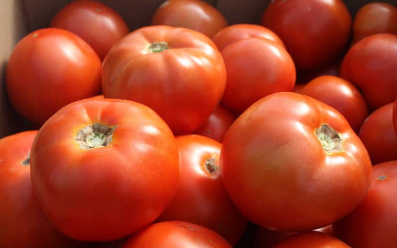 Morocco Overtakes Spain as UK's Second-Largest Tomato Supplier