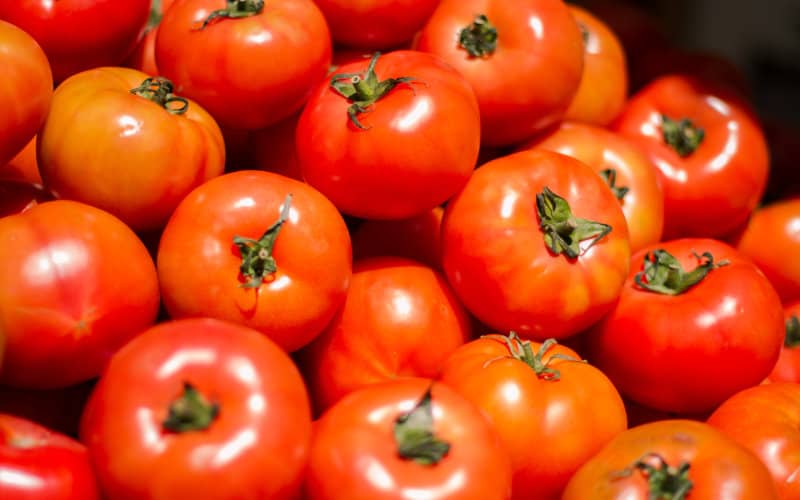 Morocco Overtakes Spain as UK's Second-Largest Tomato Supplier