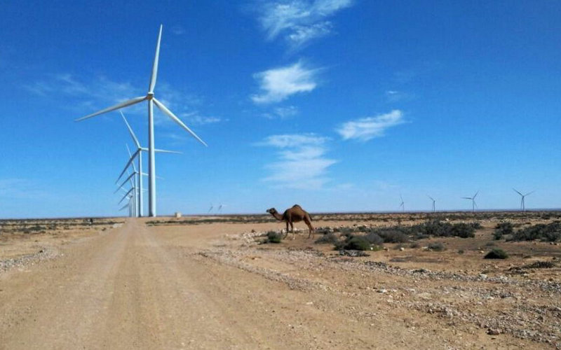 Morocco Plans Africa's First Green Hydrogen Power Plant in Landmark Project