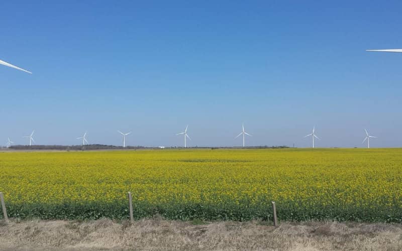 Morocco Plans Green Hydrogen Plant to Boost Renewable Energy Portfolio