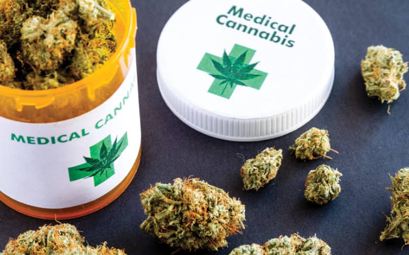 Morocco Poised to Legalize Medical Cannabis, Transforming Its Cannabis Industry
