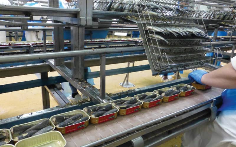 Morocco Prosecutes Factory Owners for Violating COVID-19 Safety Measures