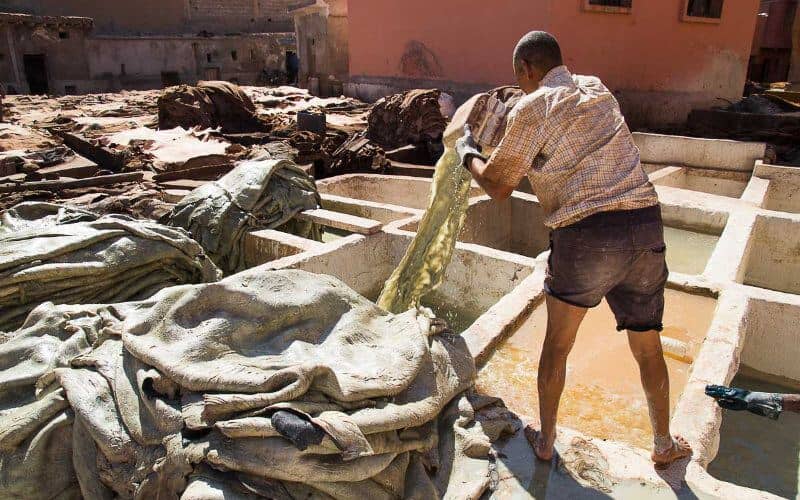 Morocco Raises Minimum Wage by 5%, Agricultural Workers See 10% Increase