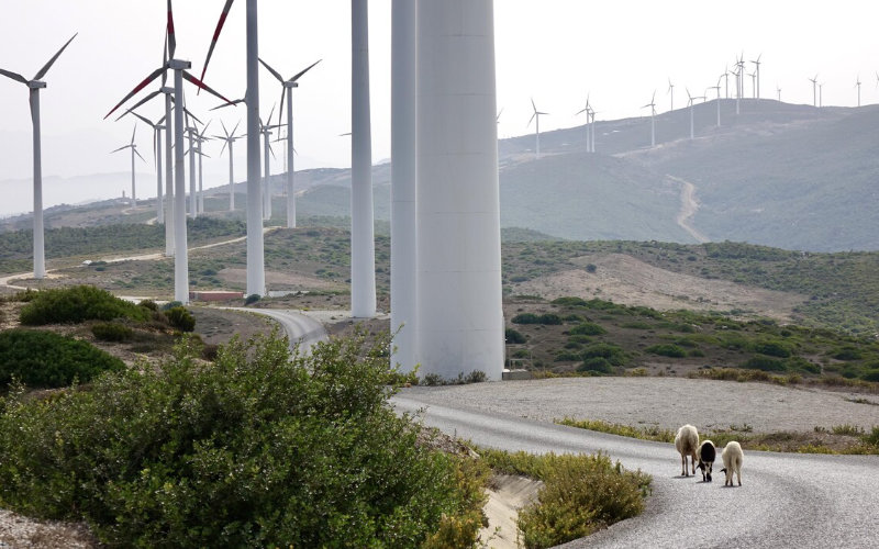 Morocco Ranks 9th Globally in Climate Change Performance Index