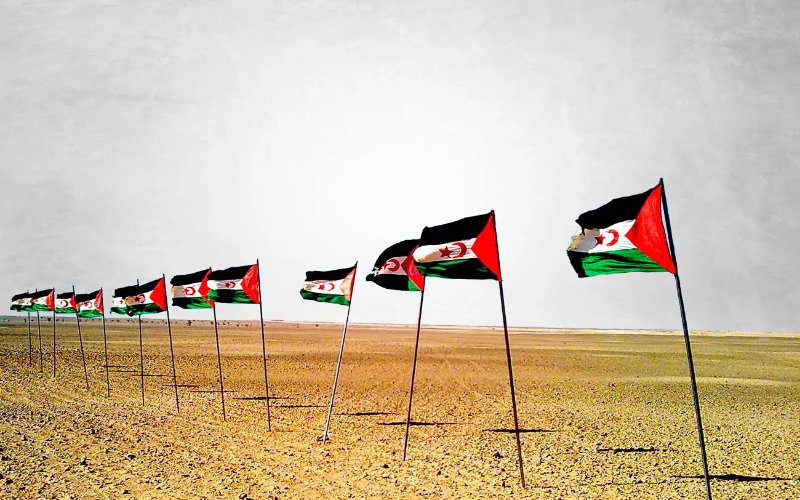Morocco Reclaims 40km of Disputed Western Sahara Territory