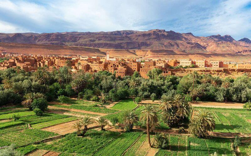 Morocco Reopens Borders: Tourism Officials Meet to Revive Key Economic Sector