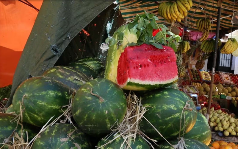 Morocco Restricts Watermelon Farming to Combat Severe Drought