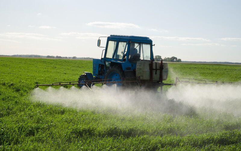 Morocco to Review Controversial Pesticide Chlorpyrifos in July Meeting