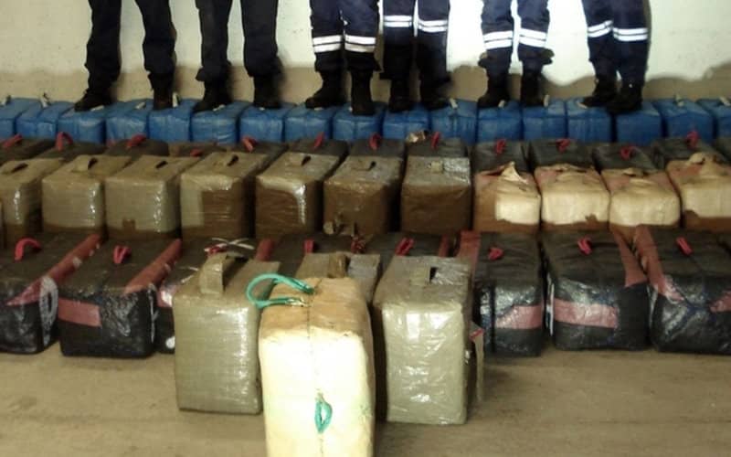 Morocco Seizes Record 120 Tons of Cannabis in Six Months, Despite Pandemic