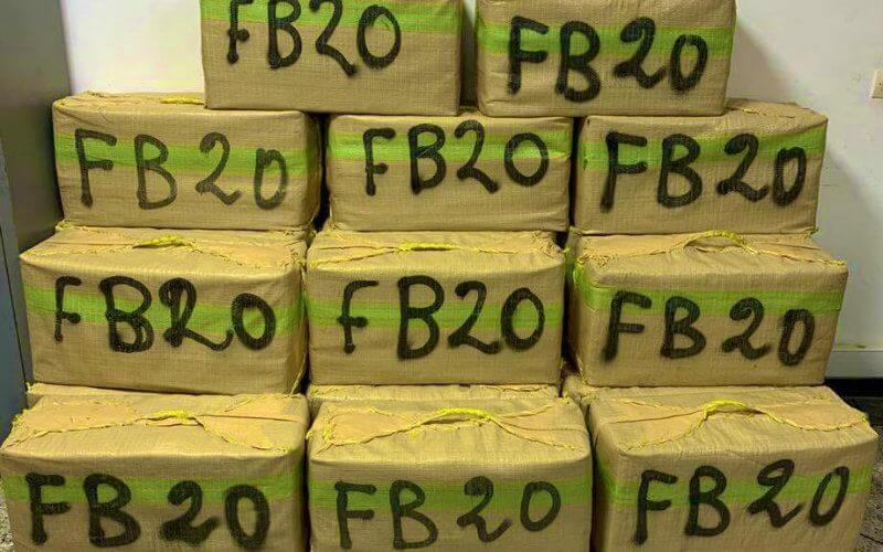 Morocco Seizes Record 179 Tons of Cannabis in 2019, Police Report Shows
