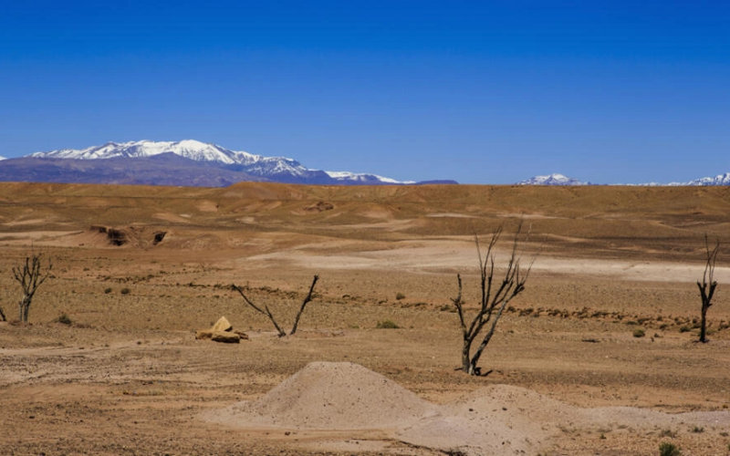 Morocco Shatters April Heat Records as Climate Change Intensifies Drought