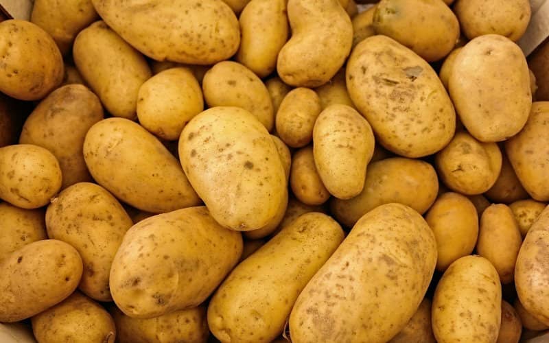 Morocco Shifts from Potato Exporter to Importer, Signaling Agricultural Trade Reversal