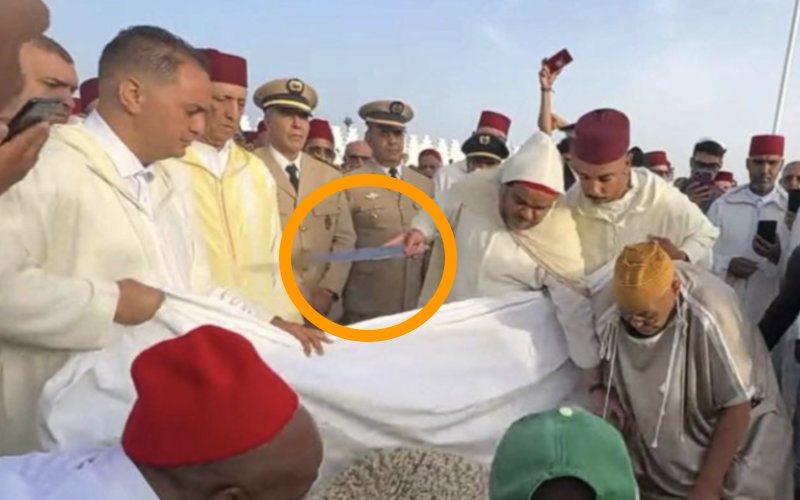 Morocco Suspends Two Top Officials for Defying King's Eid Al-Adha Sacrifice Ban