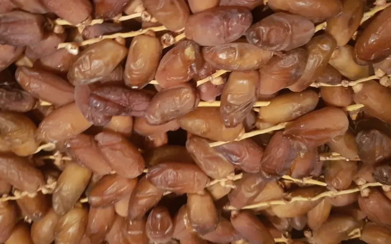 Morocco swallows nearly 20% of Tunisian date exports