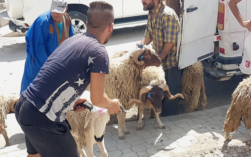 Morocco Tightens COVID-19 Measures for Eid Al-Adha Celebrations
