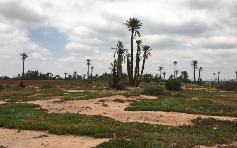 Morocco Tightens Enforcement of Vacant Land Tax to Boost Revenue Collection