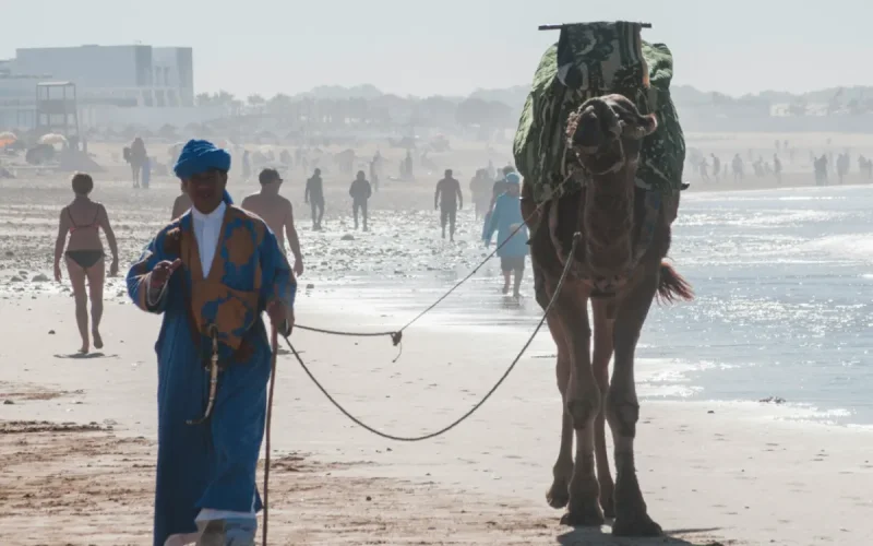 Morocco Travel Alert: Why the Kingdom Avoids Middle East Restrictions
