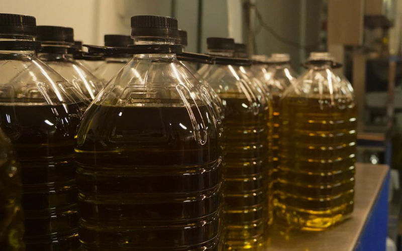 Morocco Turns to Brazil for Olive Oil Amid Severe Drought Crisis