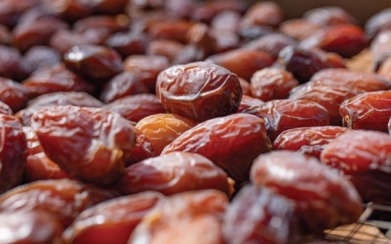 Morocco Unveils $750 Million Plan to Boost Date Palm Production by 2030