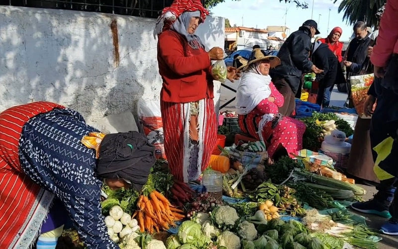 Morocco Unveils Plan to Boost Food Supply and Lower Prices Amid Inflation Concerns