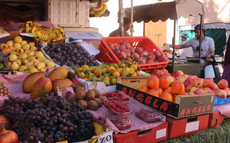 Morocco vegetable prices crash: temporary relief or seasonal cycle?