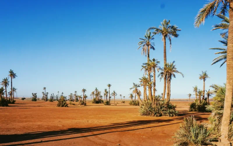 Morocco Water Crisis: Breaking Free from Rain Dependency
