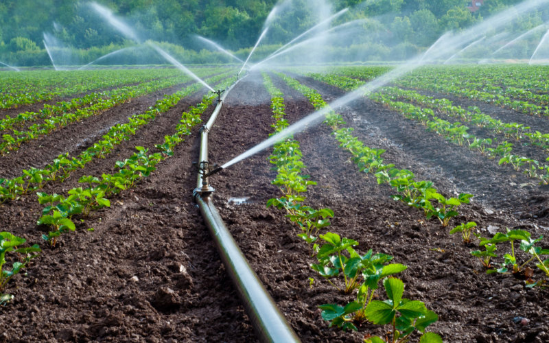 Morocco: "water thieves" arrested