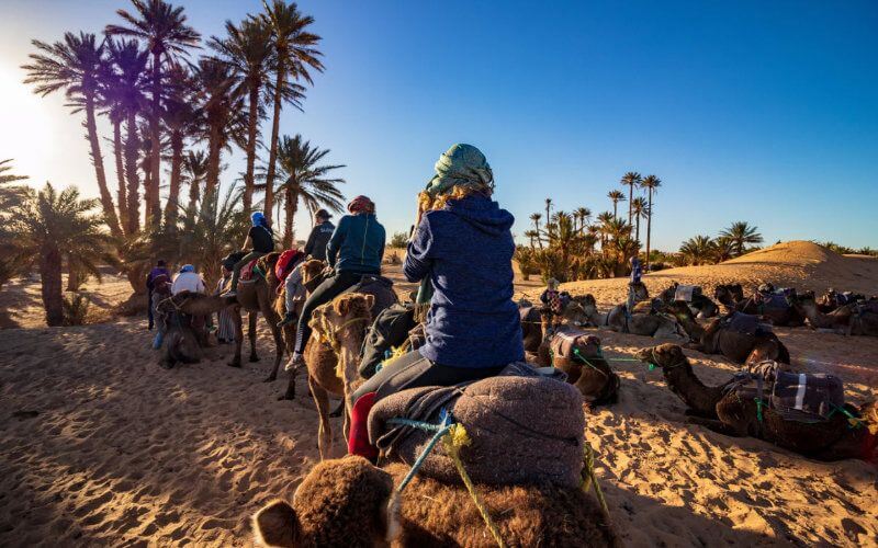 Morocco Woos Azerbaijani Travel Agencies to Boost Tourism