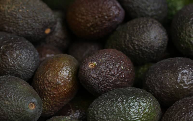 Morocco's Avocado Boom: Production Soars to 25,000 Tons Annually