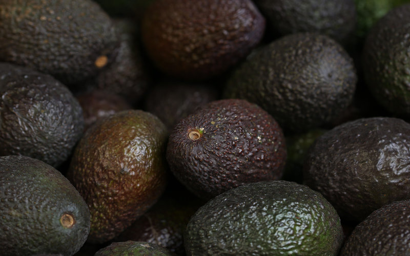 Morocco's Avocado Exports Surge to Record Levels Despite Drought