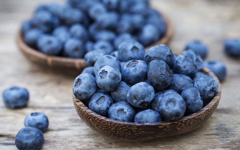 Morocco's Blueberry Boom: Conquering Canadian Markets