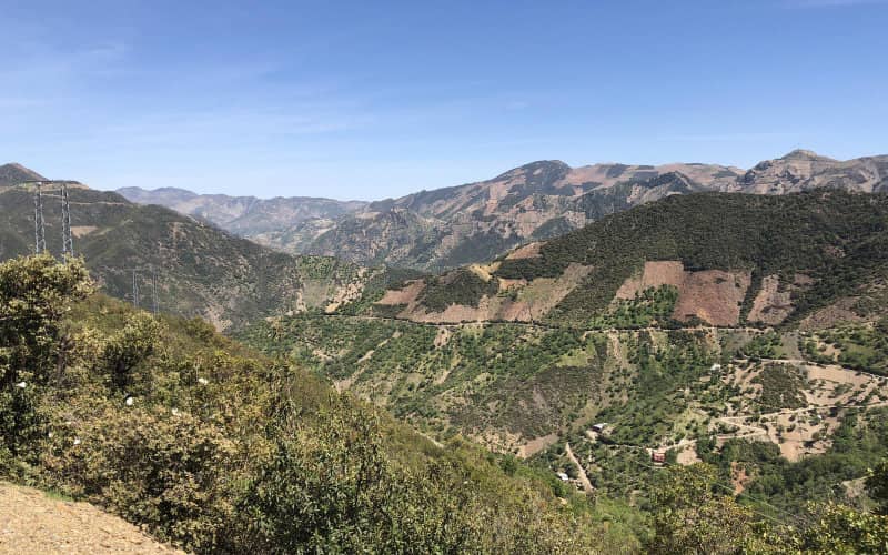 Morocco's Cannabis Legalization Sparks Land Rush in Ketama, Doubling Prices