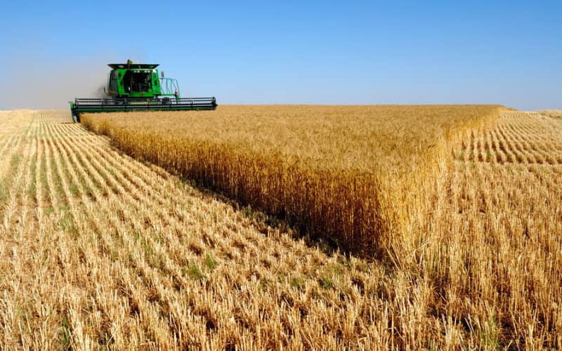 Morocco's Cereal Import Costs Soar Amid Global Food Price Surge