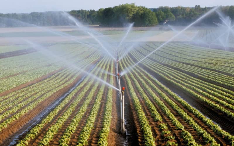Morocco's Economy Set to Grow 5.3% in 2021, Boosted by Agricultural Rebound