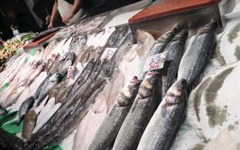 Morocco's Fish Export Ban Sparks Shortage Crisis in Spanish Enclave Ceuta
