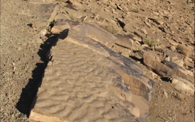Morocco's Fossil Microbes Reveal Secrets of Primordial Oceans