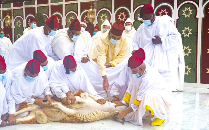 Morocco's King Calls Off Eid al-Adha Sacrifice Amid Livestock Crisis