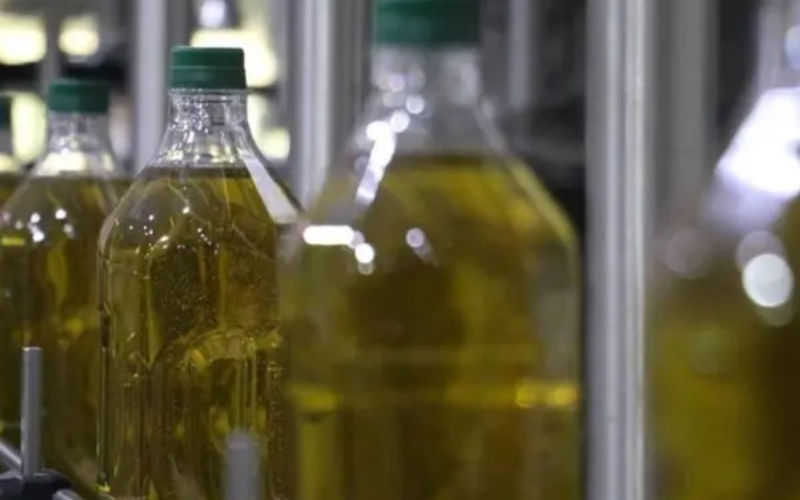 Morocco's Olive Oil Exports Surge as Domestic Prices Soar