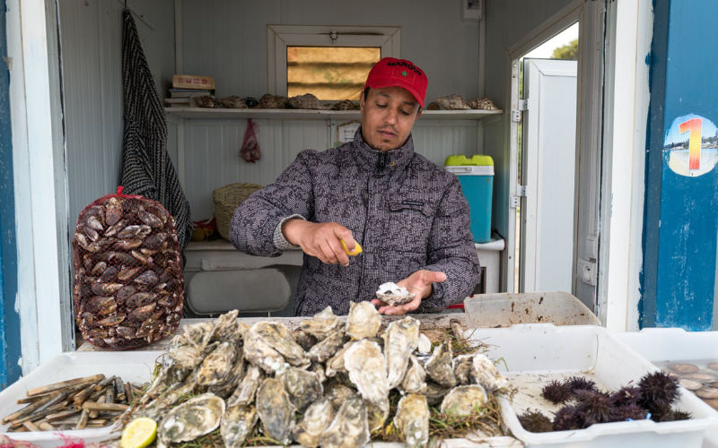 Morocco's Oualidia: Hidden Gem for Oyster Lovers and Birdwatchers