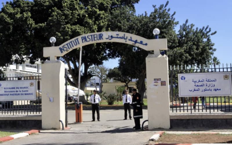 Morocco's Pasteur Institute Refutes COVID-19 Test Shortage Claims, Continues Screening